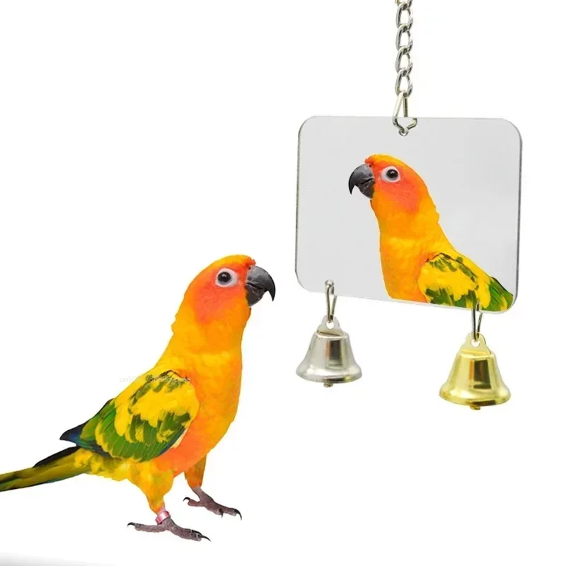1Pc Pet Toy Mirror Fun Toy for Cockatiel Parrots Small Birds Parrot Pet Parrots Climb Outdoor Indoor Hanging Supplies