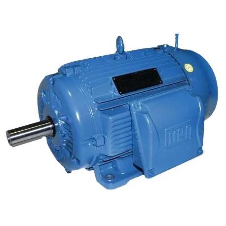 

Weg Electric Motor 230/380 AC Voltage and CE Certification