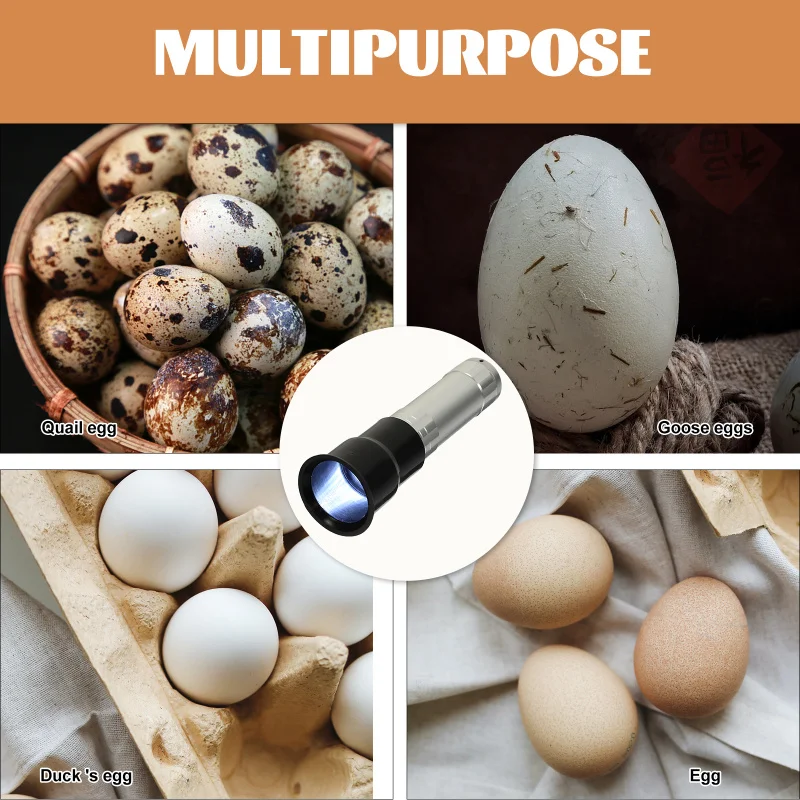 Egg Light Candler Incubator Incubation Lamp Tester Candling Eggs Quail