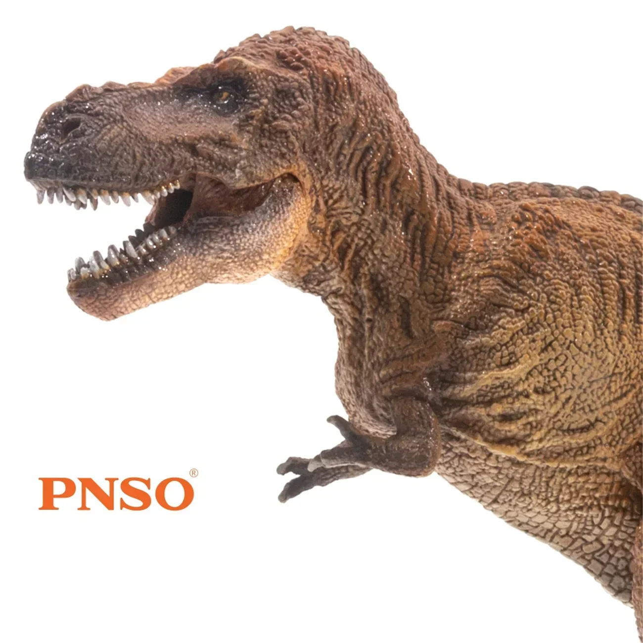 PNSO 限定版 豪華セット 1/35 ティラノサウルス Tレックス 恐竜 模型 Amazon.co.jp: PNSO 恐竜博物館 1/35 サイズ ティラノサウルス T