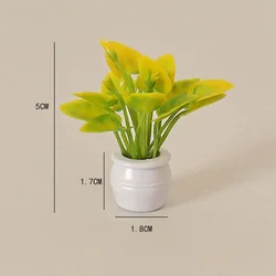 Miniature Dollhouse Decorative Green Luo Plant in Vase - Outdoor Floral Accent (4)