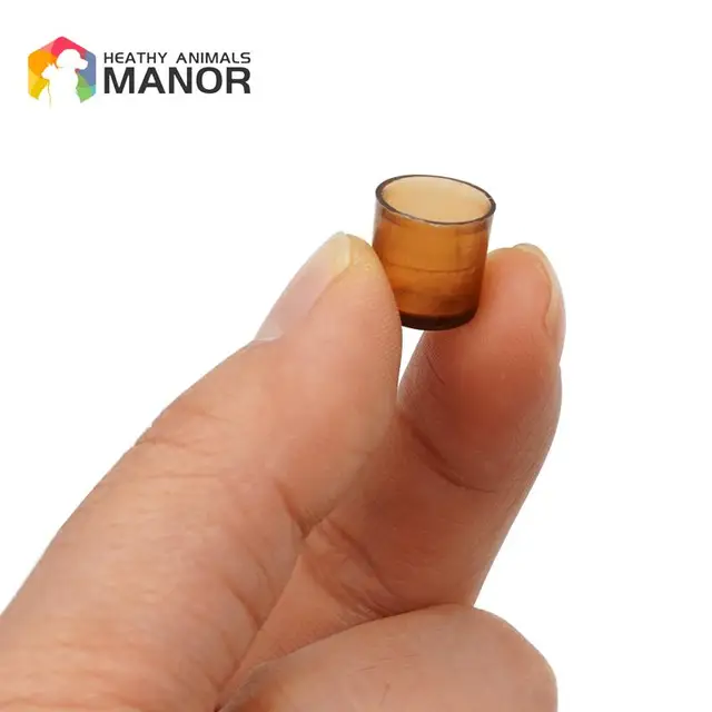 1000 Db/Táska Méh Szerszámok Király Cellák Barna Ketrec Méhészet Műanyag Tenyésztő Queen Csésze Hátsó Tenyésztési Apicultura Kellékek - Image 5