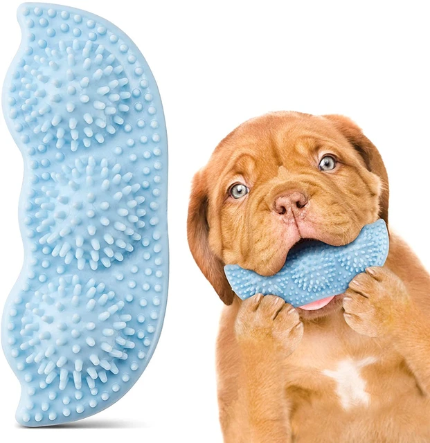 what can puppies chew on while teething
