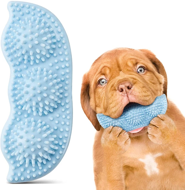What Can Puppies Chew On While Teething
