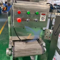 Onion Peeling Machine 500-600kg per hour Garlic Commercial Electric Large Automatic Chain Stainless Steel Pneumatic Processing 2