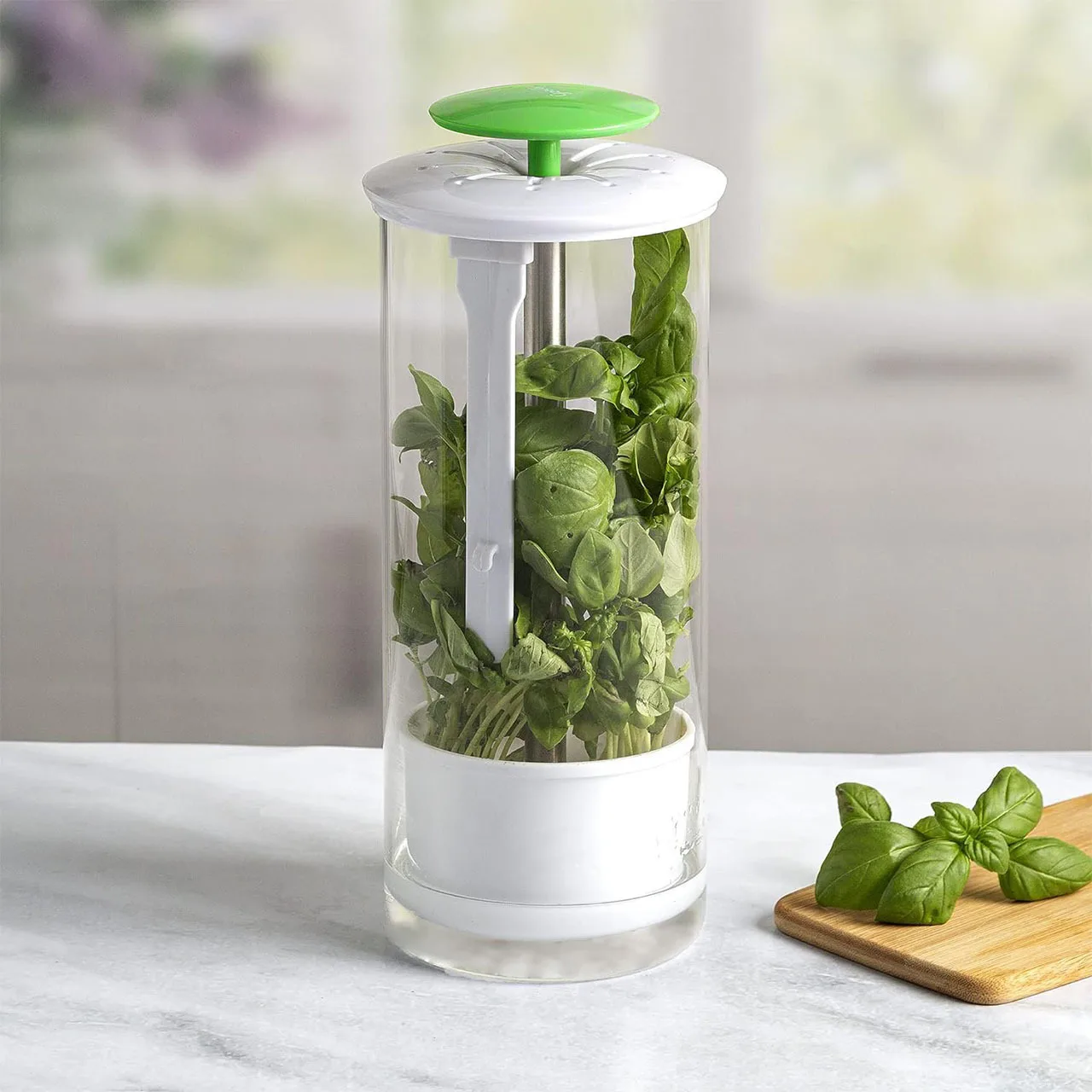 Household Clean Green Vegetable Transparent Saver Herb Cilantro Parsley Breathable Preservation Fresh Storage Container Box 5