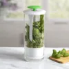 Household Clean Green Vegetable Transparent Saver Herb Cilantro Parsley Breathable Preservation Fresh Storage Container Box 5