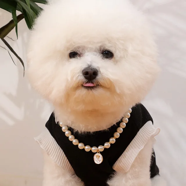 Pet Cat Collars Pearl Rose Pendant Necklace Cat Dog Pearl Collar Pet Pendant Cute High Beauty Retro Decoration Teddy Dog Collar 2