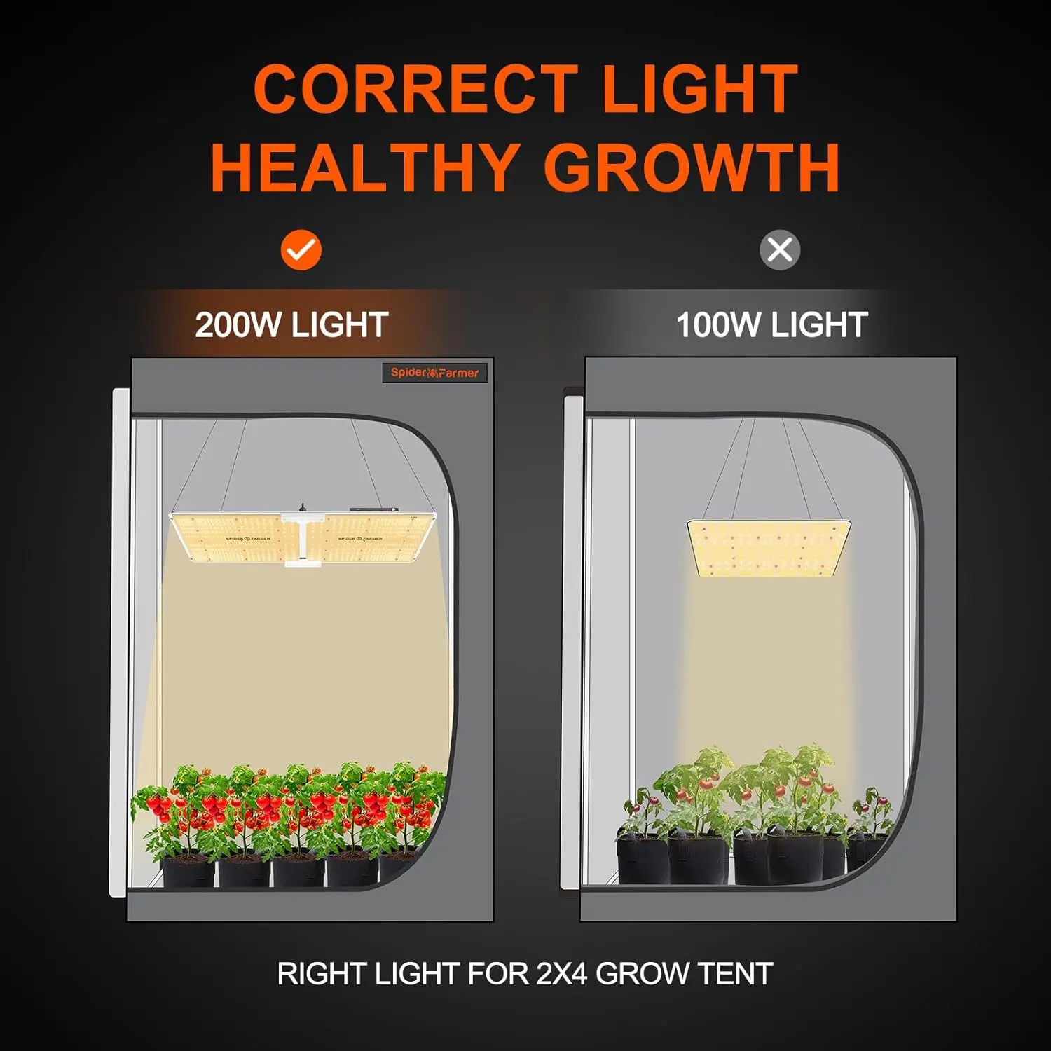 Complete Grow Tent Kit SF2000 Samsung LM301H EVO & Dimmable Grow Tent Complete System 24" x 47" x 71