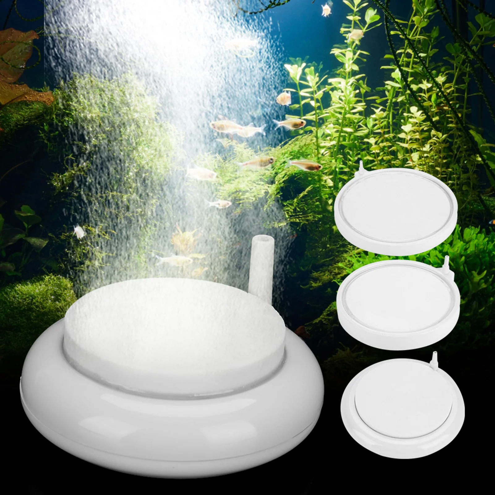 

Fish Disk Fish Refiner Fish Aquarium Refiner Disk Oxygen Pump Bubble Stone Oxygen Increasing