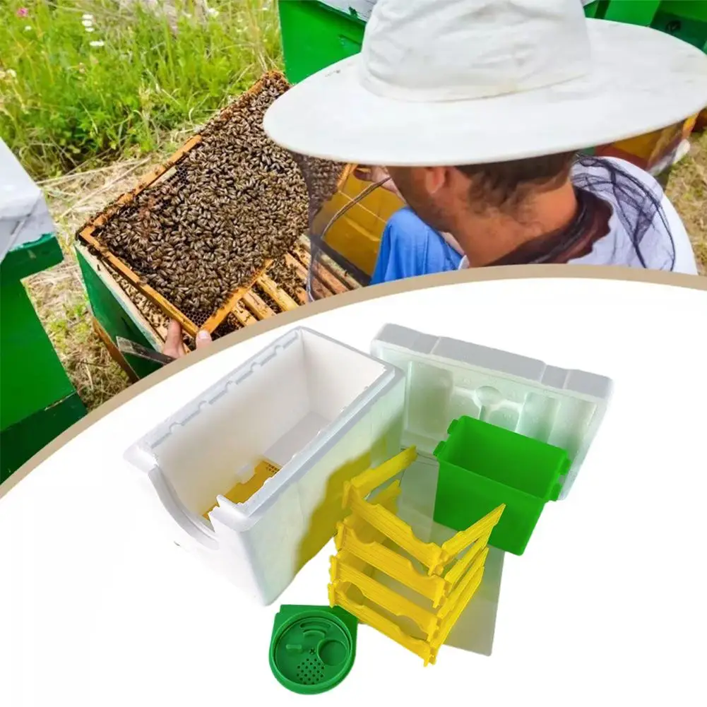 Multi-Function Home Bee Hive Pollination Boxes Mini Beekeeping Harvest Beekeeper Bee Supplies Hive Mating Box Beehive W5K3