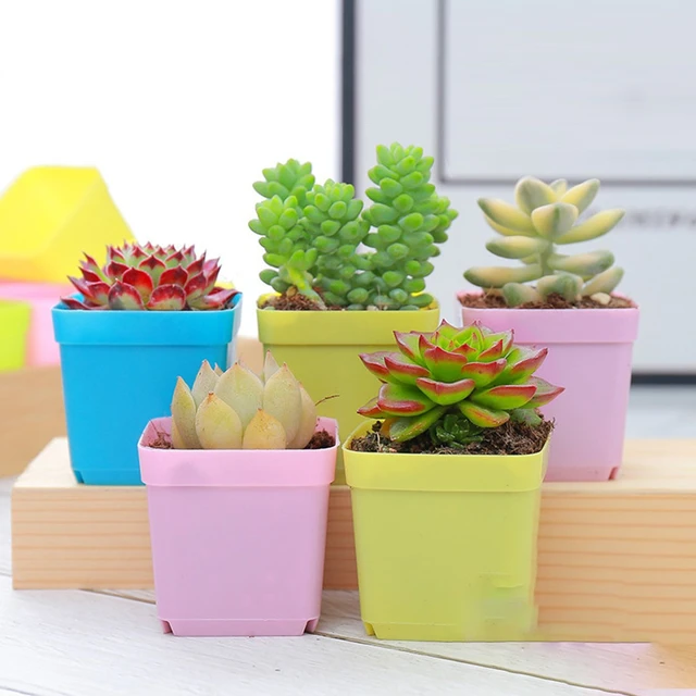 Pot de fleurs rond coloré, plantes succulentes, pour pépinière, plateau de  plantes de jardin, décoration de bureau, matériel de plantation - AliExpress