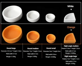 Reptile Water Food Bowl 6
