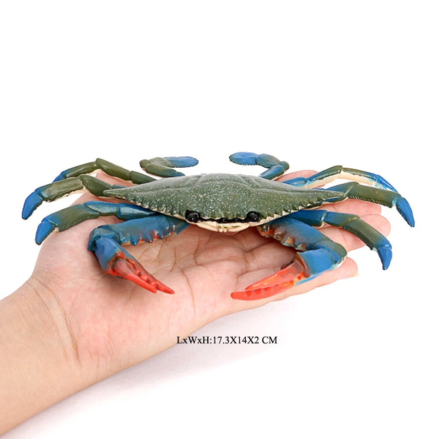 Realistische Ozean Tiere Einsiedlerkrebs Kokosnuss Krabbe Fiddler Krabbe Meer Leben Modell Action-figuren Meerestiere Spielzeug Für Home Decorati – Detail 20