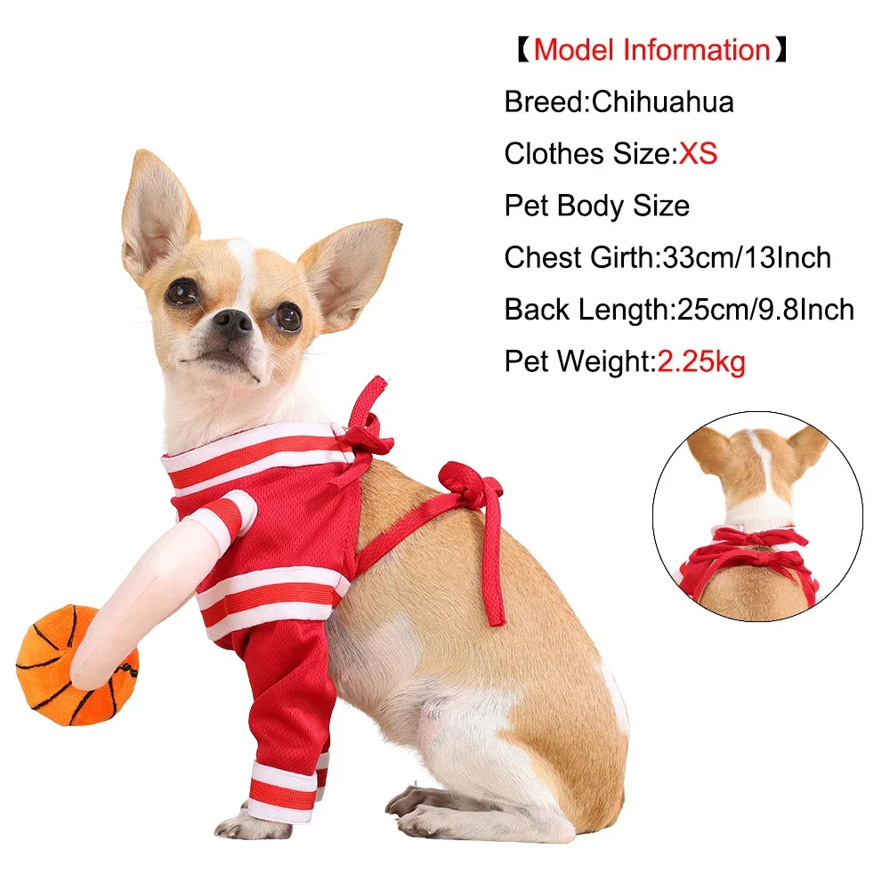 Funny Pet Cosplay Outfit 3