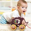 Cartoon Animals Push Pull Toy Baby Pulling Toy Walking Toy with String Children Educational Pull Along Toy Gift for Toddlers Kid 2