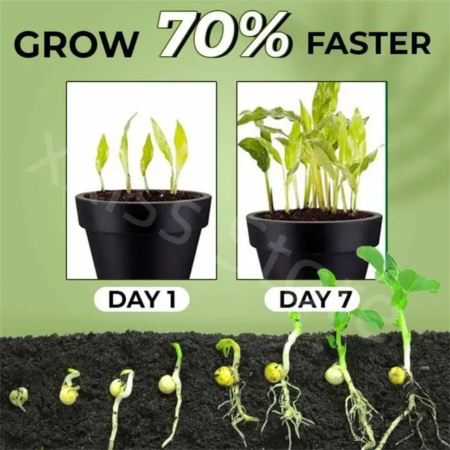 10 db A Gyökérnövekedéshez Palántákhoz Segíti Csírázást Virágzás Gyors Gyökérporja Elősegíti Növény Növekedését Erős Gyökérrendszer - Image 2