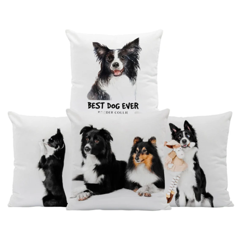 

Modern Minimalist Puppy Border Collie 45x45 Throw Pillow Cover Home Decor Sofa Home Decoration Modern Pillowcases for Pillows