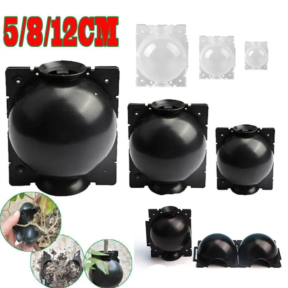 Plastic Plant Rooting Box for Tree Grafting and Seedling Cultivation