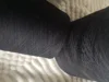 Black 100% Wool Yarn 50g Ball Anti-Pilling Fine Quality Crochet Knitting Thread for Sweater Scarf Shawl 6
