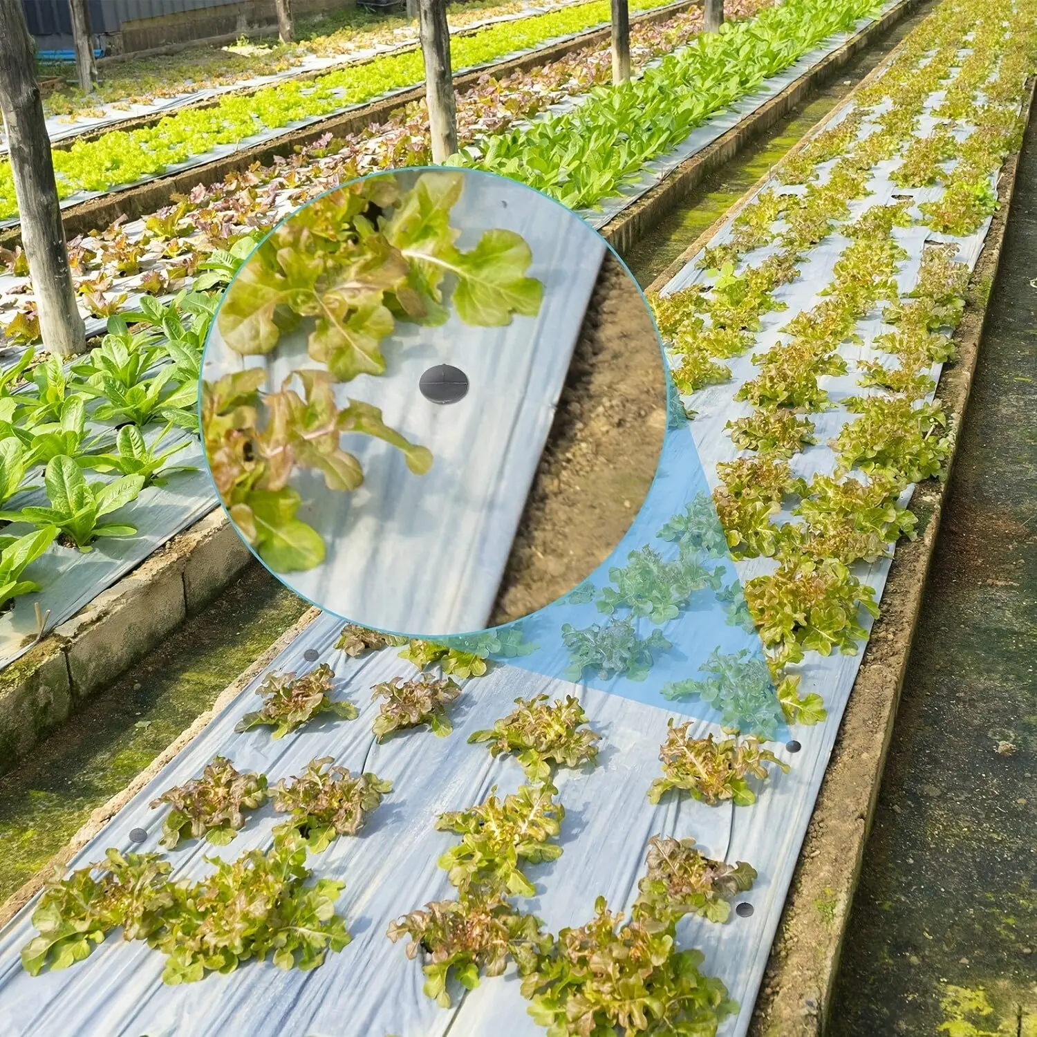 Slide image 404b704f4d7a46ecbe4deb58078c7511