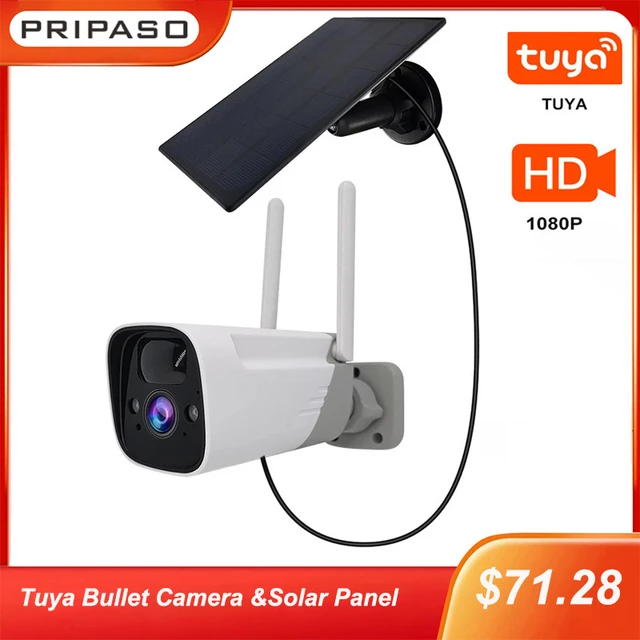 Tuya 1080p Indoor Battery Wifi Camera Ip Battery Security Camera Wireless  Battery Camera Surveillance Outdoor Waterproof Camera - Ip Camera -  AliExpress