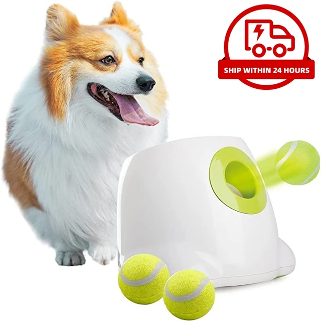 Hyper Pet K9 Kannon K2 - Lanzador de pelotas, juguetes interactivos para  perros (carga y lanzar pelotas de tenis para que los perros la atrapen)  [Los