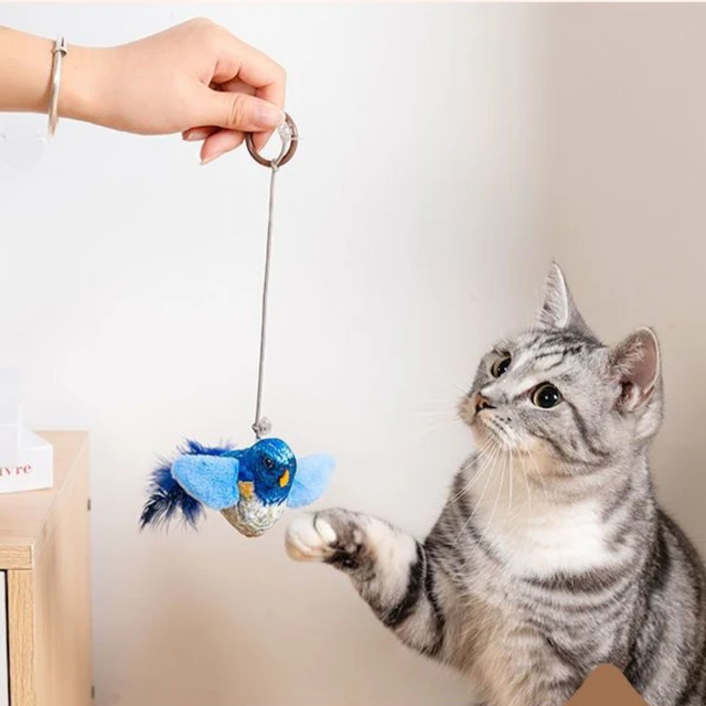 Indoor Interactive Birds Toy for Cat Chasing Teasing Toy Sounding Catnip Cat Teaser Toy Self-hilarity Wall Hanging Birds Cat Toy 2