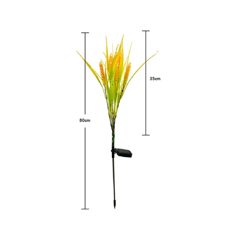 Рисунок 3 - Зернистая лужайка