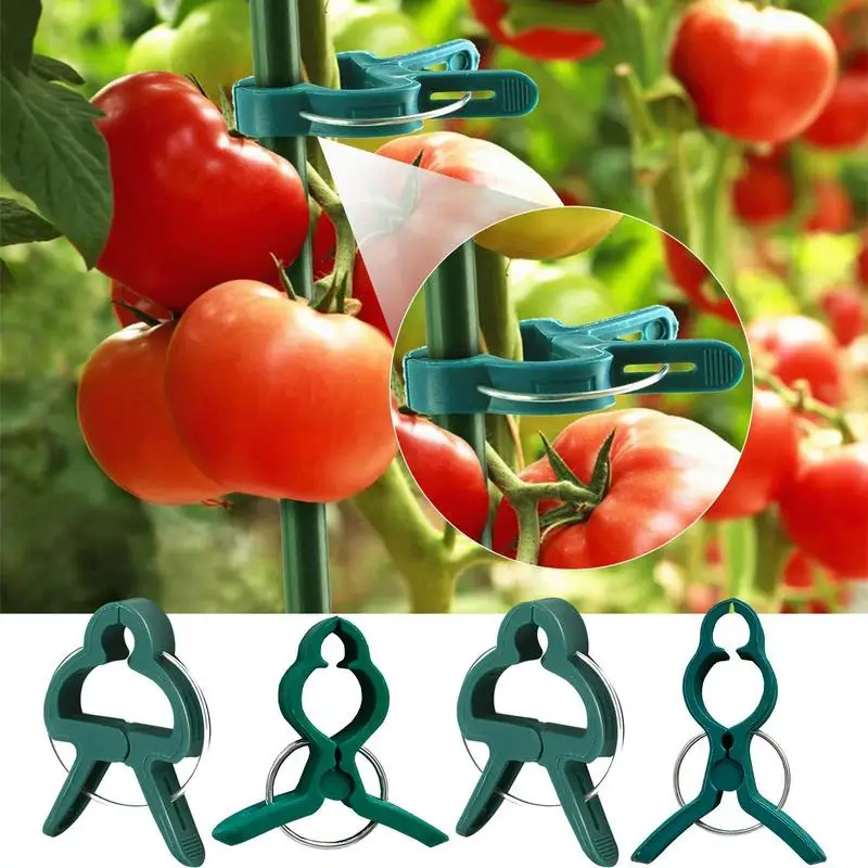 

Reusable Plant Clips Adjustable Plant Clip For Supporting Stems Flower Seedling Climbing Gentle Hold Fixing Chili Vegetables