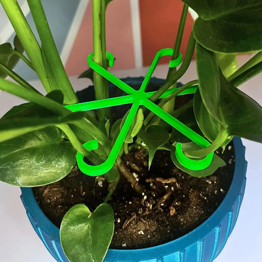 Plant Stem Support Alocasia Monstera Leaf Support Vine Clips For Climbing Plants To Grow Upright And Make Healthier plant stem support