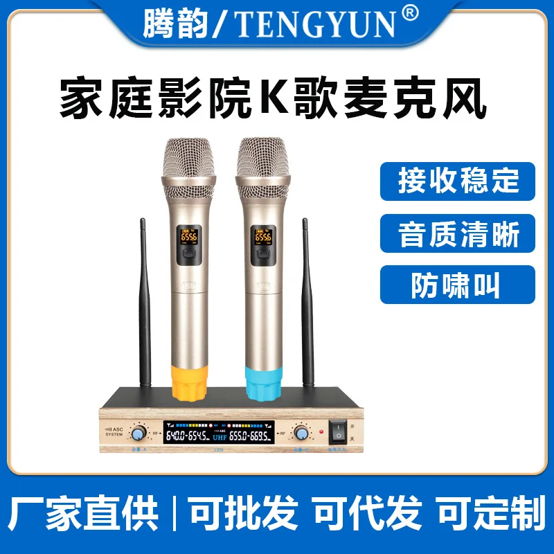 

Factory Hot Sale Home Theater Karaoke Wireless Microphone Home Singing One for Two KTV Karaoke FM Microphone