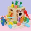 Montessori Educational Toy Set with Carrot Harvest Shape Sorting Activity Educational Learning Toys for Kids 1 Year Old Toddlers 1