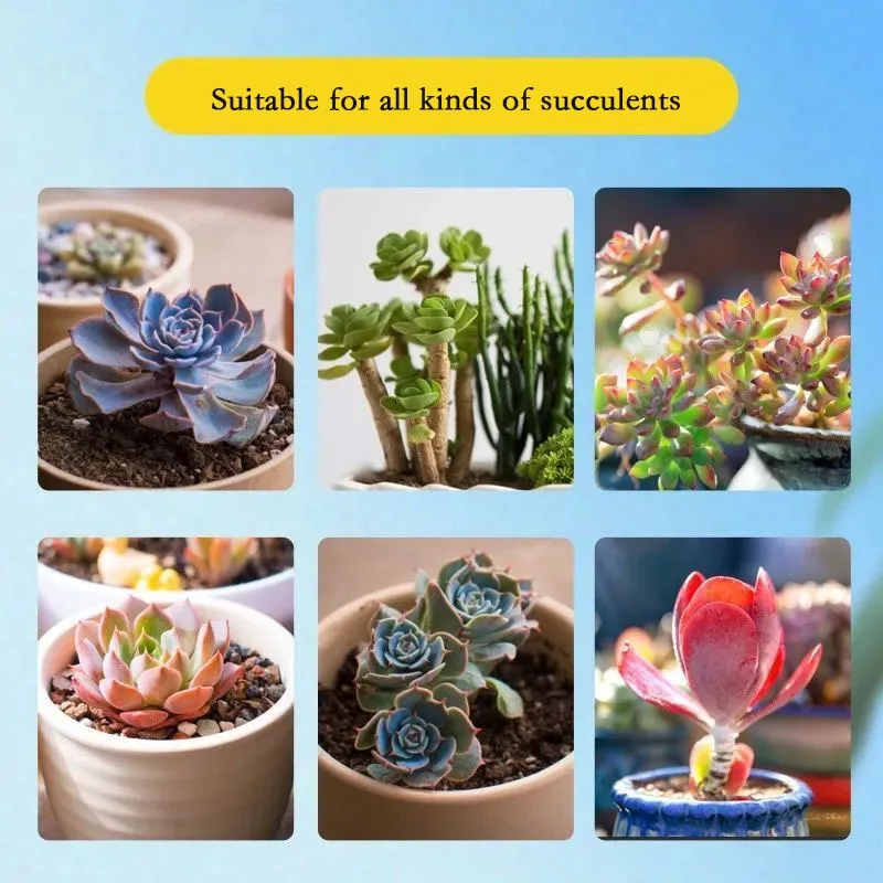 Succulent plant color-enhancing and anti-legging flower-growing fertilizer NPK organic general compound fertilizer 250g plant fertilizer
