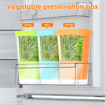 Herb Saver for Refrigerator 1
