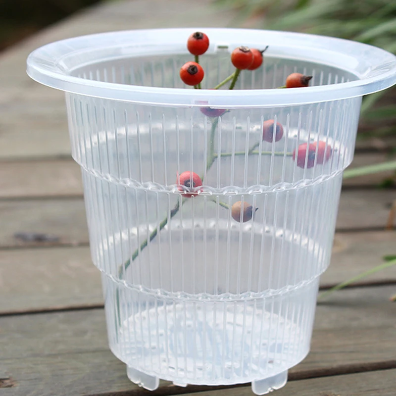 

Clear Resin Orchid Plant Container with Ventilation Holes Innovative Design for Root Growth and Healthy Plants