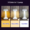 USB Rechargeable Touch Desk Lamp Wireless Bedside Decorative LED Table Lamp Restaurant Coffee Bar Home Mood Lighting Night Light 4