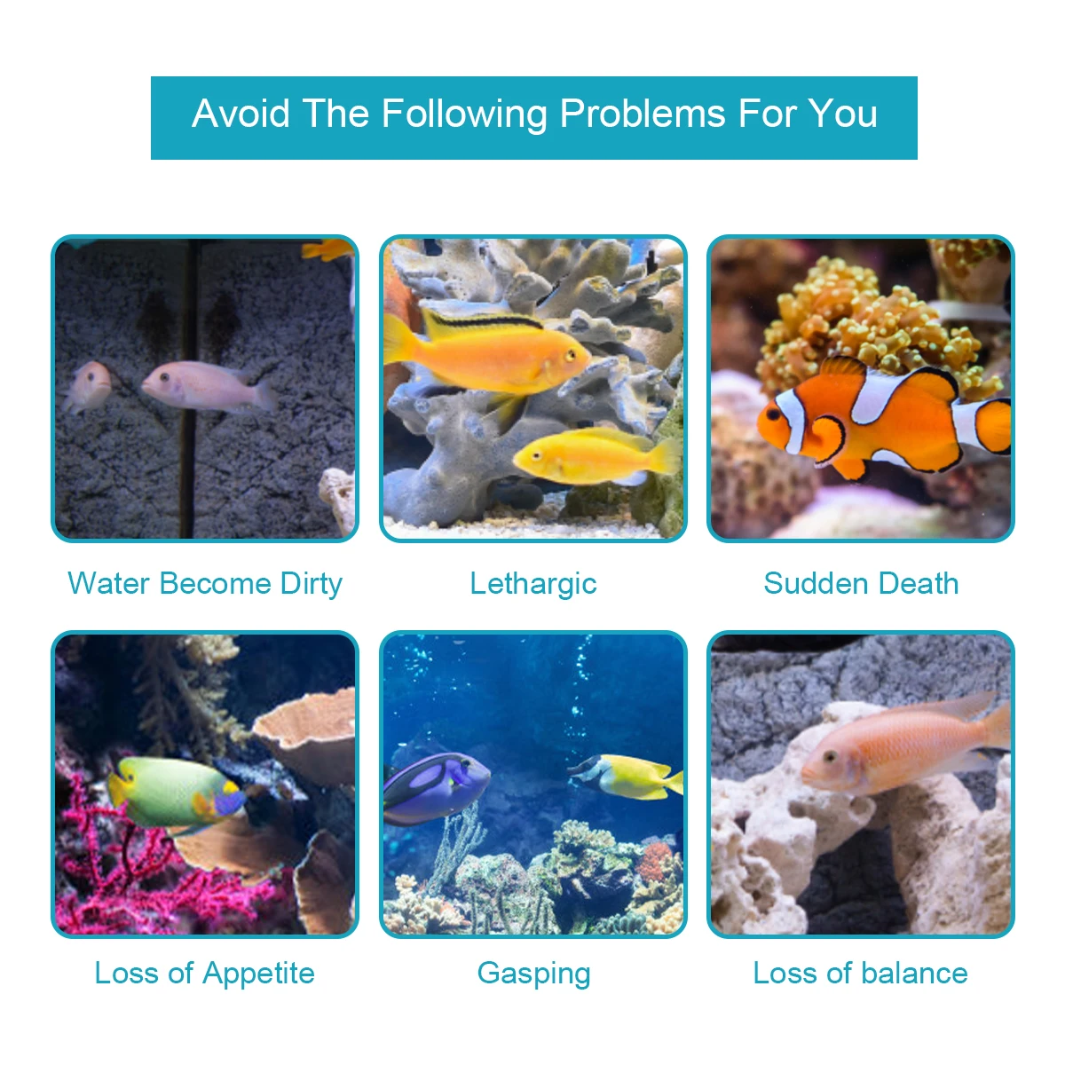 100pcs 7-IN-1 Aquarium Test Strips Fish Tank Test Kit Freshwater Saltwater Aquarium Water to Detect PH NO3 NO2 GH KH CI TCL