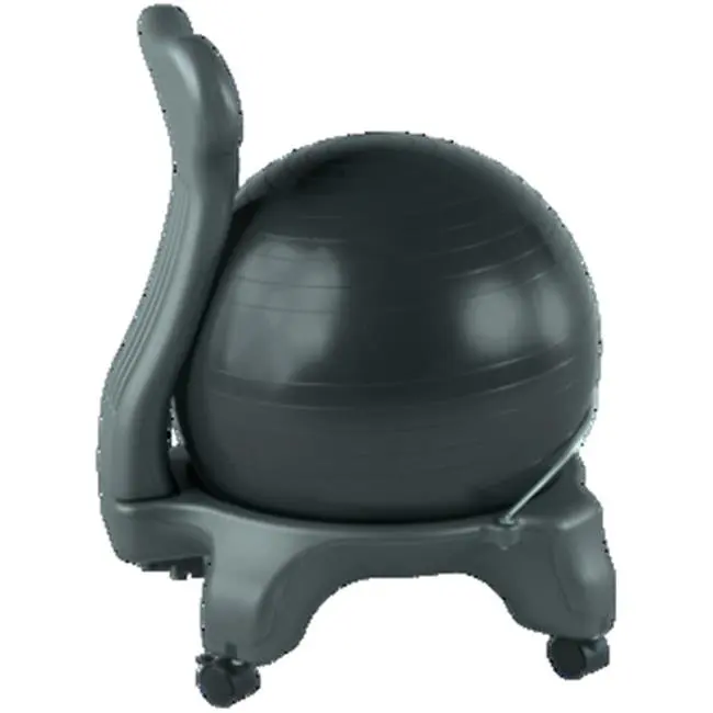 

Balance Ball Chair,