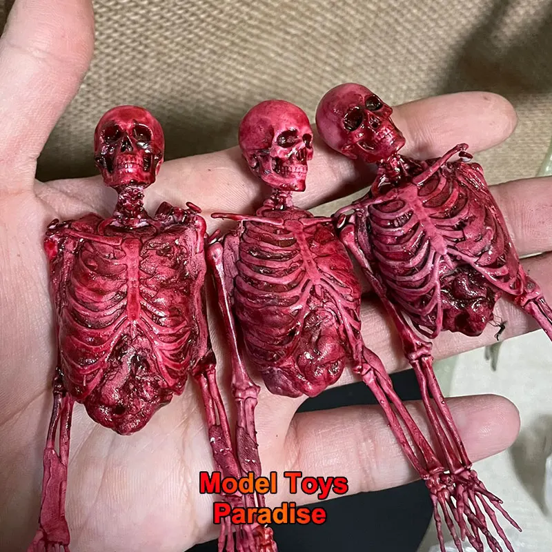 

1/6 Scale Soldier Skeleton Half Body Flesh Blood Human Skeleton Model Accessory Fit 12inch Action Figure Toys