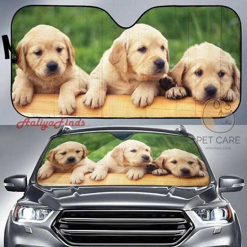 

Cute Dogs Car Sun Shades Amazing Best Gift Ideas 2022