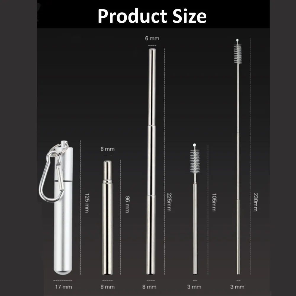 Reusable Telescopic Stainless Steel Straw Set with Cleaning Brush and Carry Case