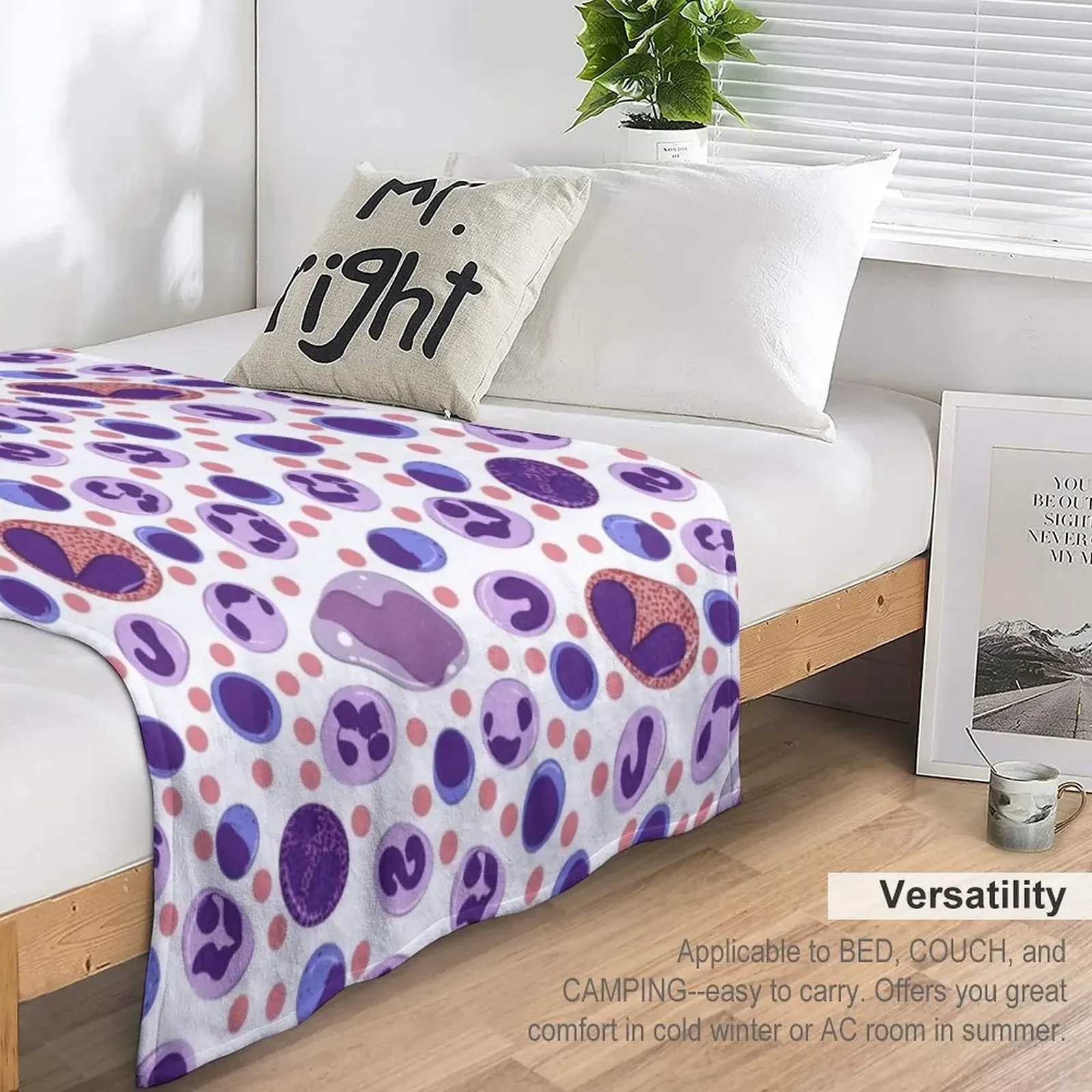 ���� ȭ��Ʈ ���� ���� ���� ������ ���,  ���� �̺�, ħ�� ���� ���