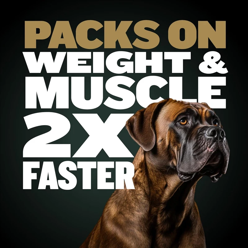 BULLY MAX PRO Power Chews For Dogs, Increase Strength Muscle-building Weight Gain, Skin, Coat 11-in-1 Performance Health Support