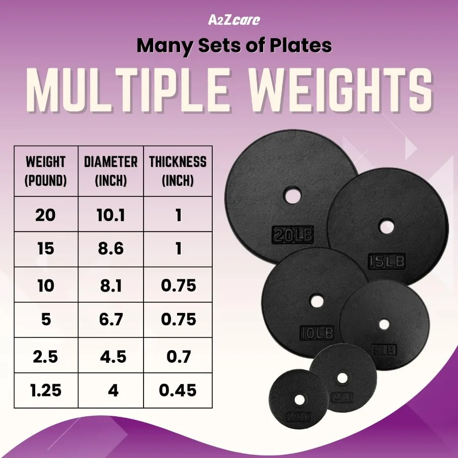 1-Inch Standard Weight Plates - Cast Iron Dumbbell Plates