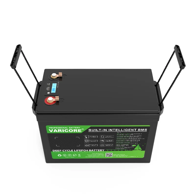Batteria Ricaricabile al Litio LiFePO4 24V 100Ah 8s per Veicoli Elettrici, Camper, Golf Cart, Auto da Viaggio, Batterie per Accendisigari, Caricabatterie 29.2V - immagine 6