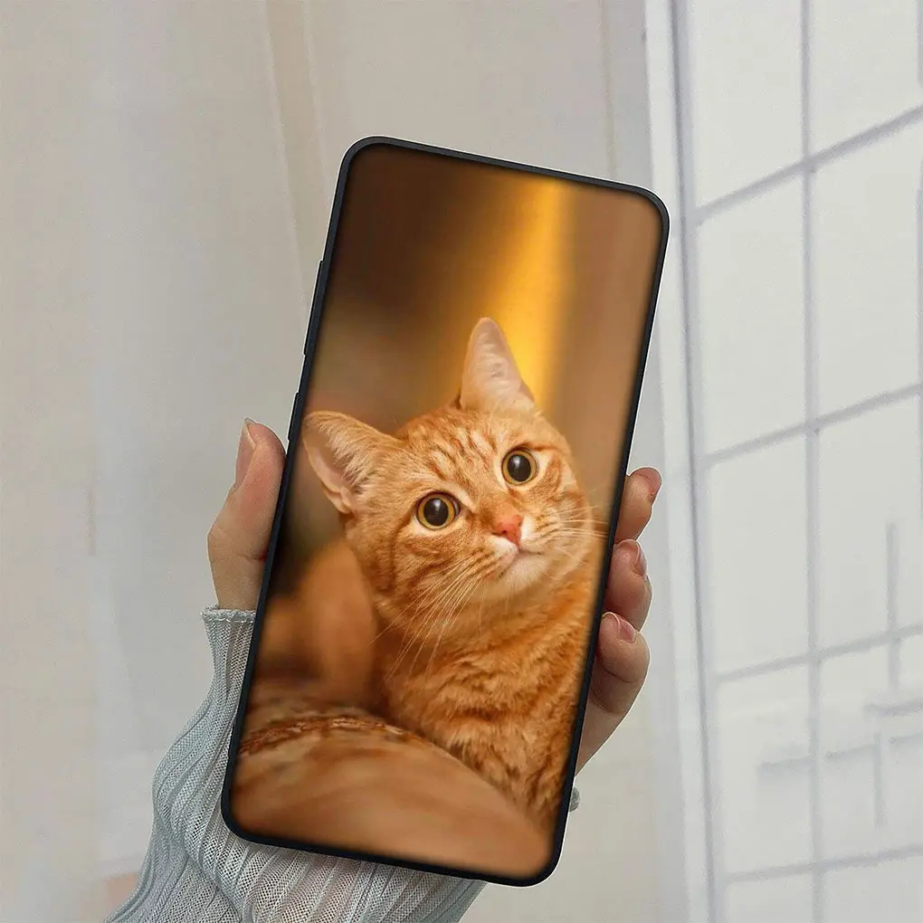Meow Eyes Kitten Cat Soft Phone Case Cover