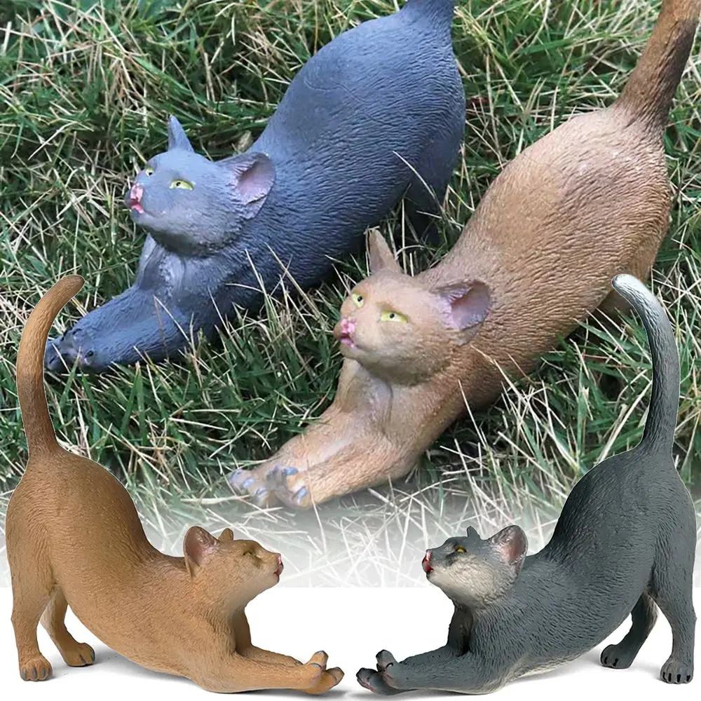 

Landscape Science & Nature Kids Cognition Early Learning Farm Animal Lifelike Kittens Figurine Stretching Cats Model