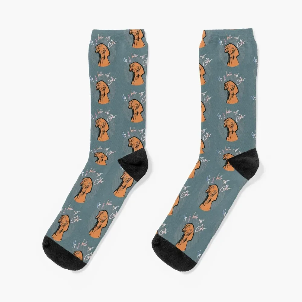 

Hungarian Vizsla Pointer Dog Socks Stockings compression men cotton high quality Stockings Socks Men Women's