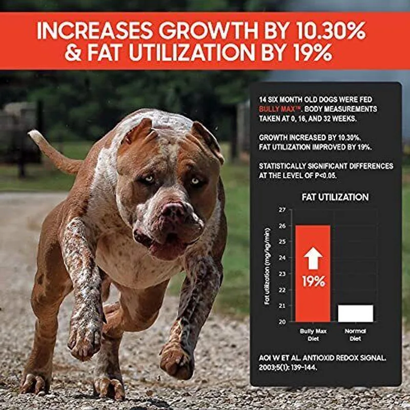 Bully Max 3-IN-1 Liquid Muscle Gain Building Supplement For Dog,​ Strengthens Muscle Performance, Endurance And Recovery 16oz